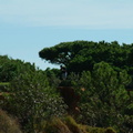 Algarve-2003-12